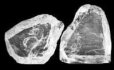 Cullinan Brut Famous Diamond