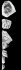 Cullinan Brut N�2 Famous Diamond