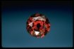 De Young Red Famous Diamond