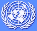 ONU flag